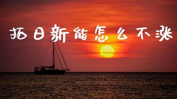 拓日新能怎么不涨_https://wap.jnlaobingbanjia.com_金融理财_第1张