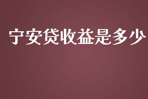 宁安贷收益是多少_https://wap.jnlaobingbanjia.com_金融理财_第1张