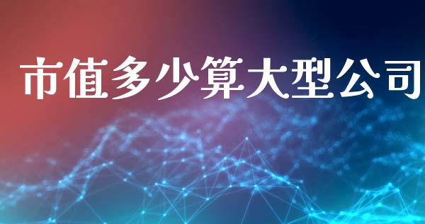 市值多少算大型公司_https://wap.jnlaobingbanjia.com_财务管理_第1张