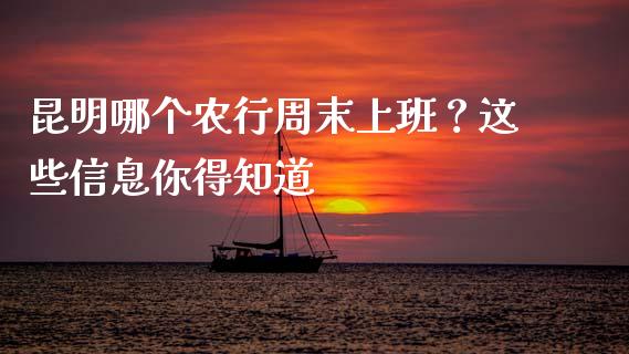 昆明哪个农行周末上班？这些信息你得知道_https://wap.jnlaobingbanjia.com_基金分析_第1张