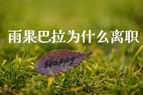 雨果巴拉为什么离职_https://wap.jnlaobingbanjia.com_财经资讯_第1张