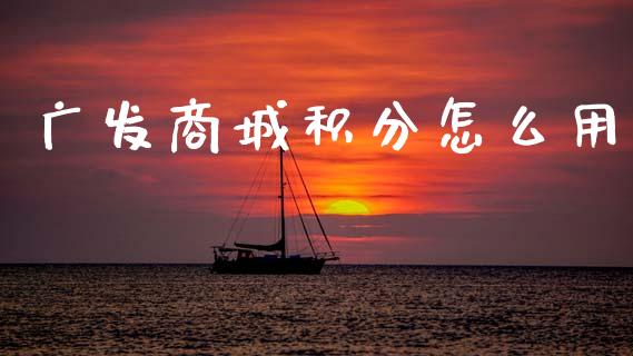 广发商城积分怎么用_https://wap.jnlaobingbanjia.com_财务管理_第1张