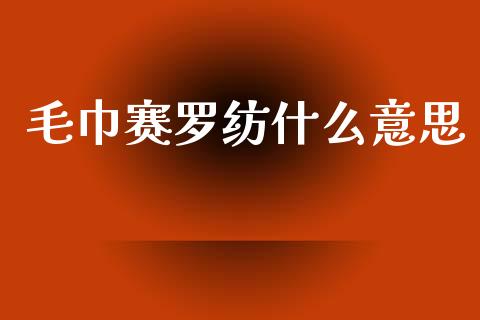 毛巾赛罗纺什么意思_https://wap.jnlaobingbanjia.com_股市行情_第1张