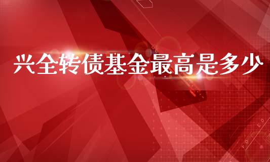 兴全转债基金最高是多少_https://wap.jnlaobingbanjia.com_财务管理_第1张