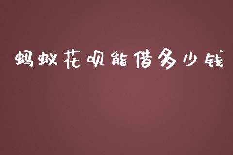 蚂蚁花呗能借多少钱_https://wap.jnlaobingbanjia.com_股市行情_第1张