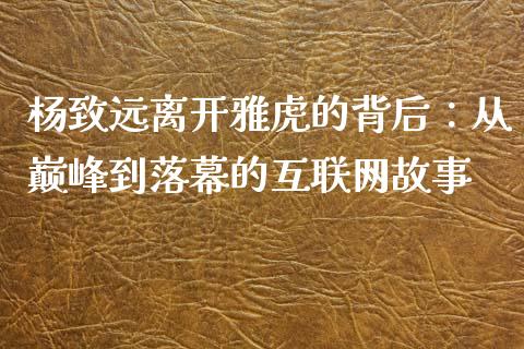 杨致远离开雅虎的背后：从巅峰到落幕的互联网故事_https://wap.jnlaobingbanjia.com_财务管理_第1张