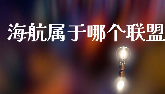 海航属于哪个联盟_https://wap.jnlaobingbanjia.com_证券公告_第1张