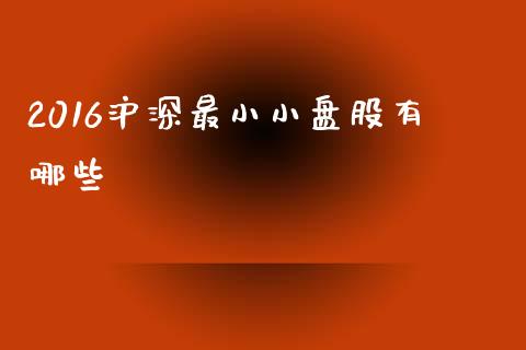 2016沪深最小小盘股有哪些_https://wap.jnlaobingbanjia.com_证券公告_第1张