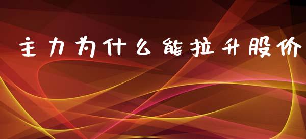 主力为什么能拉升股价_https://wap.jnlaobingbanjia.com_证券公告_第1张