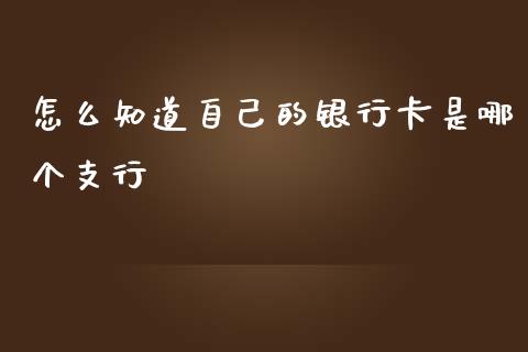 怎么知道自己的银行卡是哪个支行_https://wap.jnlaobingbanjia.com_基金分析_第1张