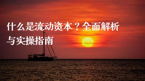 什么是流动资本？全面解析与实操指南_https://wap.jnlaobingbanjia.com_证券公告_第1张