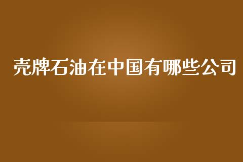 壳牌石油在中国有哪些公司_https://wap.jnlaobingbanjia.com_证券公告_第1张