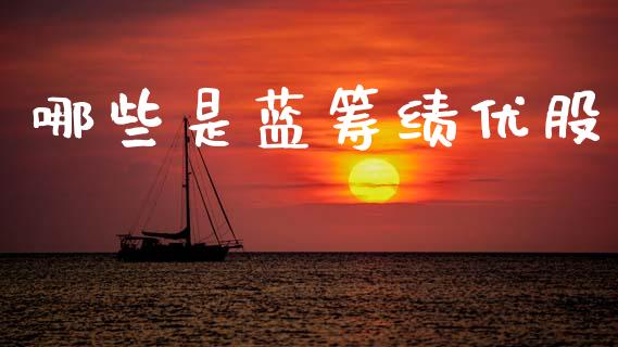 哪些是蓝筹绩优股_https://wap.jnlaobingbanjia.com_金融理财_第1张