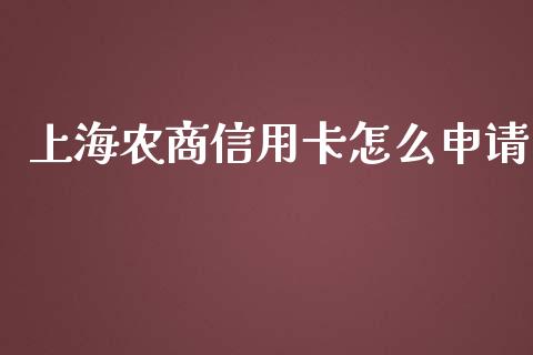 上海农商信用卡怎么申请_https://wap.jnlaobingbanjia.com_金融理财_第1张