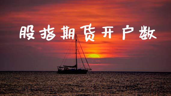 股指期货开户数_https://wap.jnlaobingbanjia.com_金融理财_第1张
