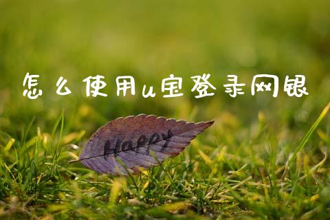 怎么使用u宝登录网银_https://wap.jnlaobingbanjia.com_财务管理_第1张