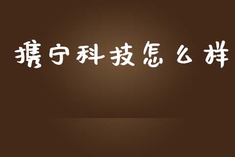 携宁科技怎么样_https://wap.jnlaobingbanjia.com_金融理财_第1张