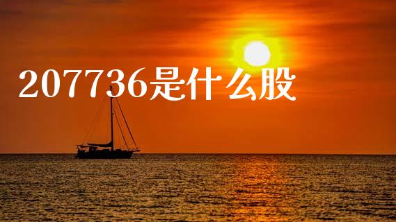 207736是什么股_https://wap.jnlaobingbanjia.com_证券公告_第1张