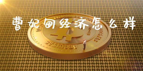 曹妃甸经济怎么样_https://wap.jnlaobingbanjia.com_基金分析_第1张