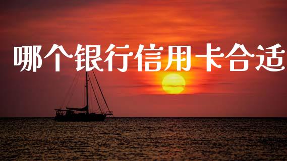 哪个银行信用卡合适_https://wap.jnlaobingbanjia.com_财务管理_第1张