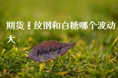 期货缧纹钢和白糖哪个波动大_https://wap.jnlaobingbanjia.com_财务管理_第1张