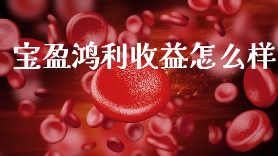 宝盈鸿利收益怎么样_https://wap.jnlaobingbanjia.com_财经资讯_第1张