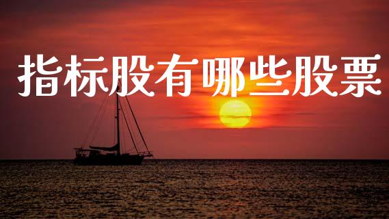 指标股有哪些股票_https://wap.jnlaobingbanjia.com_证券公告_第1张