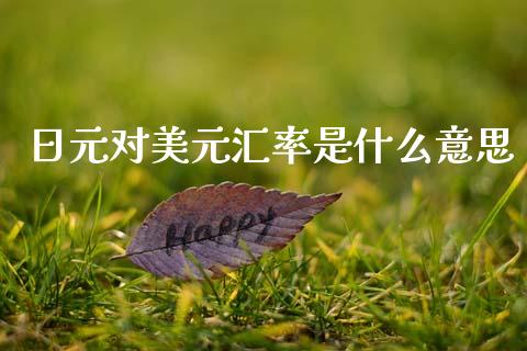 日元对美元汇率是什么意思_https://wap.jnlaobingbanjia.com_基金分析_第1张