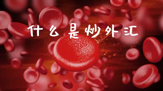 什么是炒外汇_https://wap.jnlaobingbanjia.com_财务管理_第1张