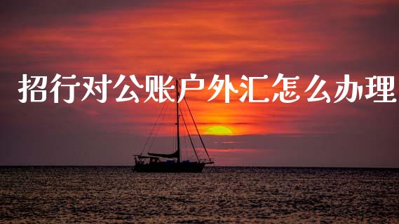招行对公账户外汇怎么办理_https://wap.jnlaobingbanjia.com_财务管理_第1张