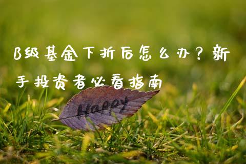 B级基金下折后怎么办？新手投资者必看指南_https://wap.jnlaobingbanjia.com_金融理财_第1张