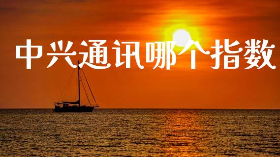 中兴通讯哪个指数_https://wap.jnlaobingbanjia.com_证券公告_第1张