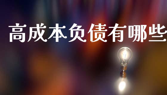 高成本负债有哪些_https://wap.jnlaobingbanjia.com_基金分析_第1张