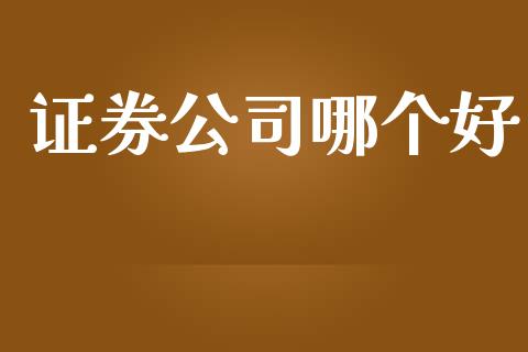 证券公司哪个好_https://wap.jnlaobingbanjia.com_财务管理_第1张
