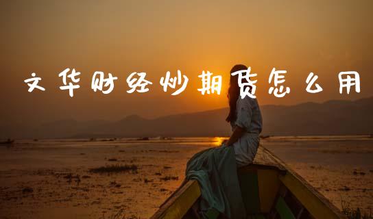 文华财经炒期货怎么用_https://wap.jnlaobingbanjia.com_财务管理_第1张