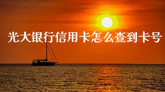 光大银行信用卡怎么查到卡号_https://wap.jnlaobingbanjia.com_基金分析_第1张