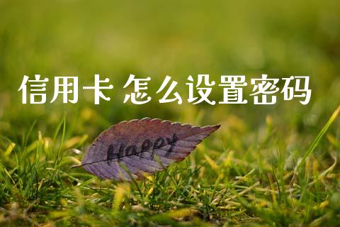 信用卡 怎么设置密码_https://wap.jnlaobingbanjia.com_财务管理_第1张