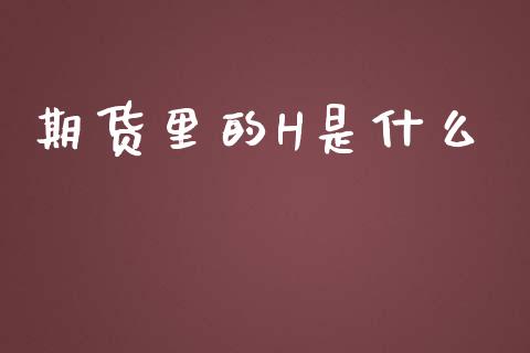 期货里的H是什么_https://wap.jnlaobingbanjia.com_证券公告_第1张