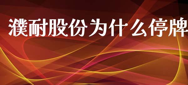 濮耐股份为什么停牌_https://wap.jnlaobingbanjia.com_证券公告_第1张