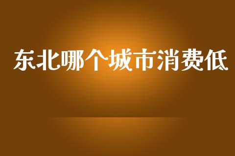 东北哪个城市消费低_https://wap.jnlaobingbanjia.com_基金分析_第1张