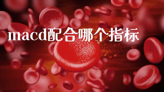 macd配合哪个指标_https://wap.jnlaobingbanjia.com_证券公告_第1张