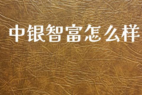 中银智富怎么样_https://wap.jnlaobingbanjia.com_基金分析_第1张