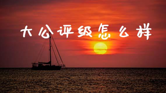 大公评级怎么样_https://wap.jnlaobingbanjia.com_证券公告_第1张