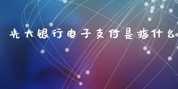 光大银行电子支付是指什么_https://wap.jnlaobingbanjia.com_证券公告_第1张