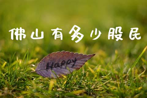 佛山有多少股民_https://wap.jnlaobingbanjia.com_基金分析_第1张
