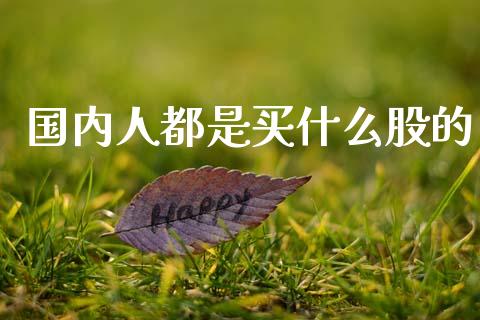 国内人都是买什么股的_https://wap.jnlaobingbanjia.com_基金分析_第1张