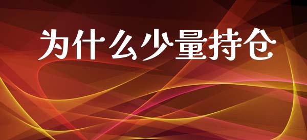 为什么少量持仓_https://wap.jnlaobingbanjia.com_金融理财_第1张