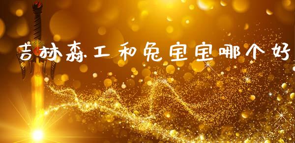 吉林森工和兔宝宝哪个好_https://wap.jnlaobingbanjia.com_财务管理_第1张
