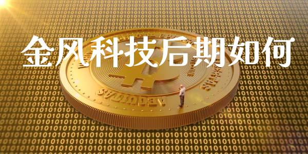 金风科技后期如何_https://wap.jnlaobingbanjia.com_基金分析_第1张