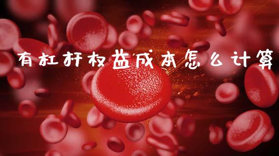 有杠杆权益成本怎么计算_https://wap.jnlaobingbanjia.com_财经资讯_第1张